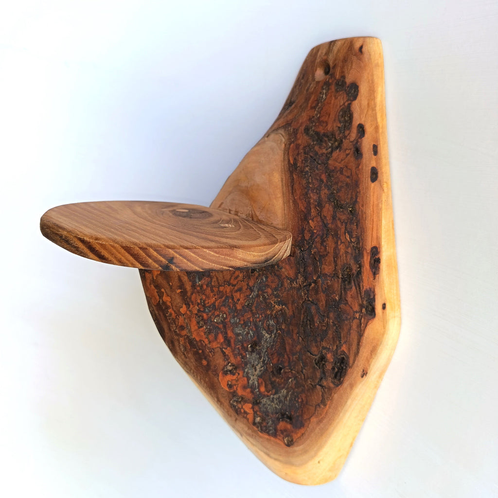 Etagère murale arborescente 1 plateau - H35cm - EA17 Souffle des Bois