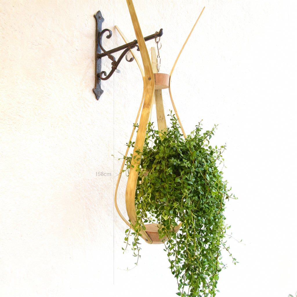 Suspension pour plantes en Bambou Design - H68cm x L30cm - S024